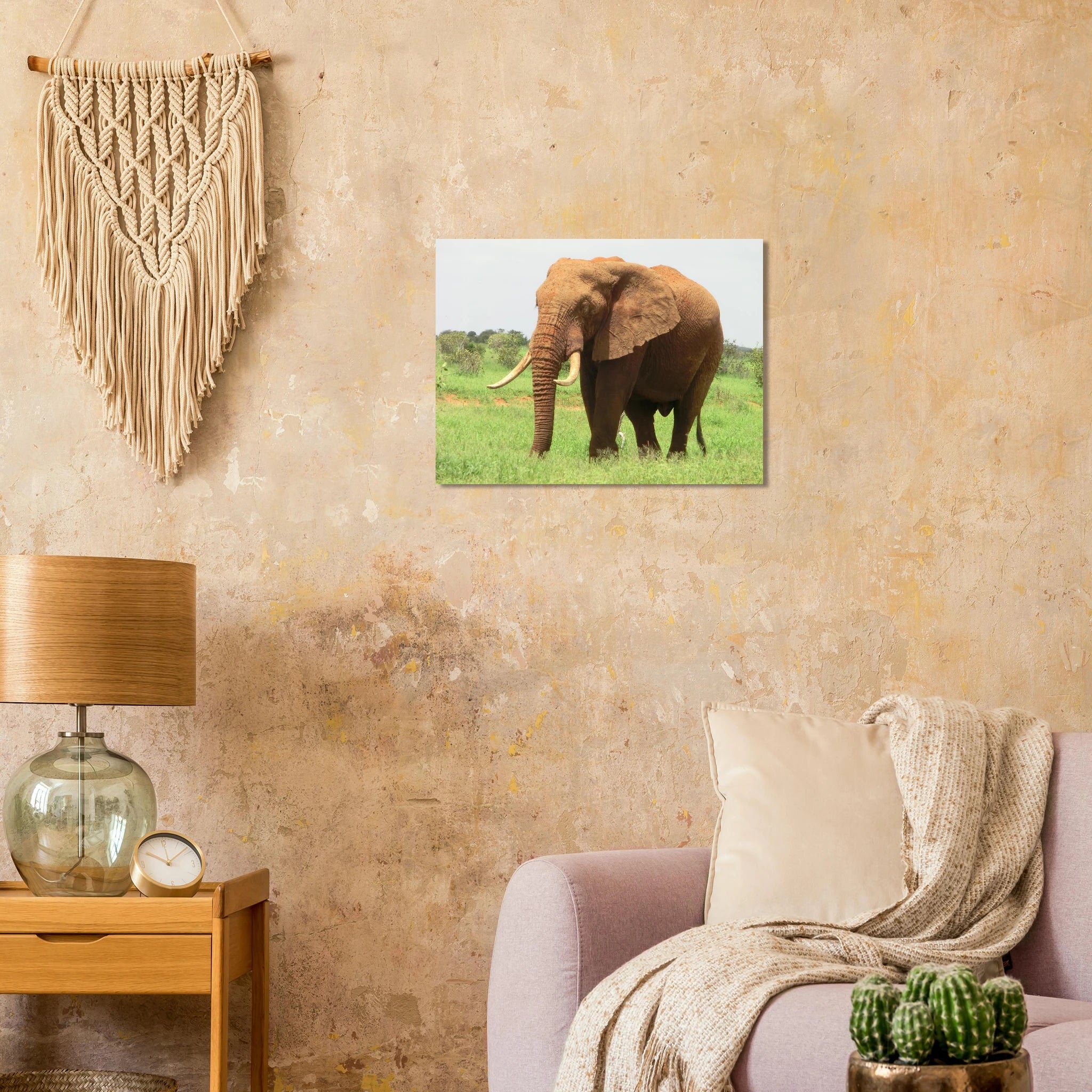 14afff60-93bc-4964-9fc6-04cb80a52b76