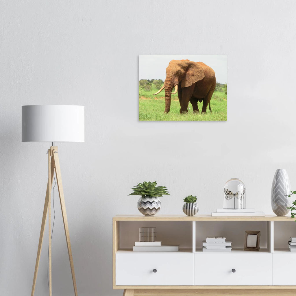 20f0423c-4dc4-457f-8c6d-ccd9874f9cef