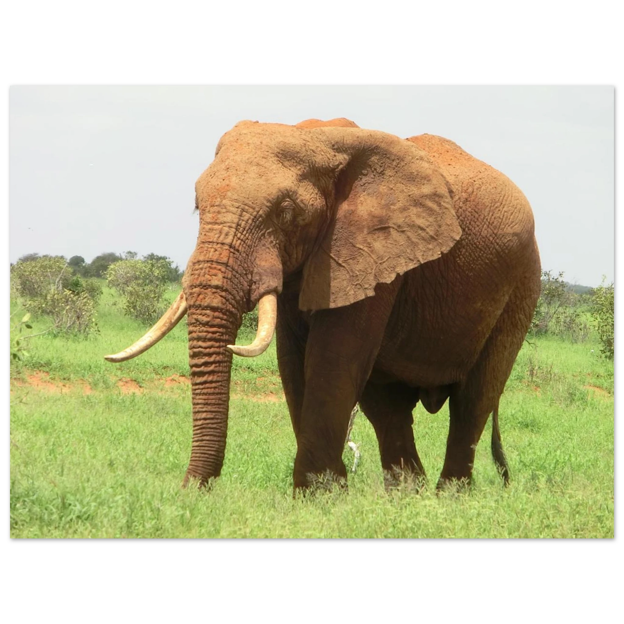 a27722d8-a031-4713-9910-ce2d115b98b8